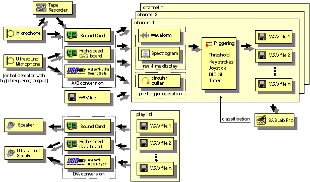 Avisoft-RECORDER screen shot