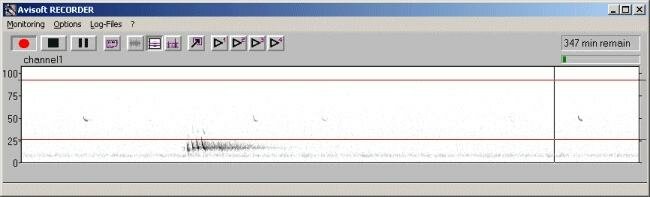 Avisoft-RECORDER